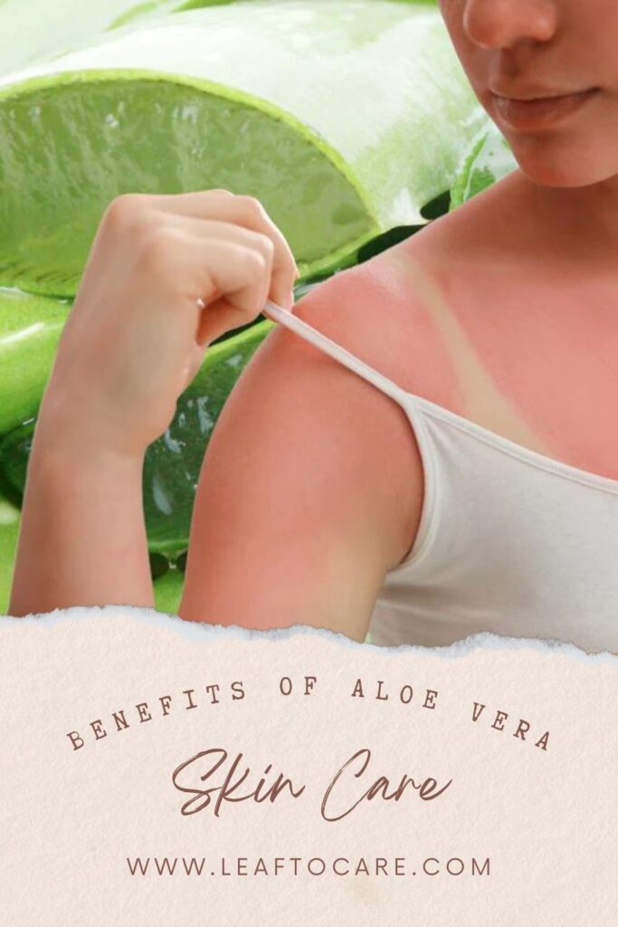The Amazing Benefits of Aloe Vera