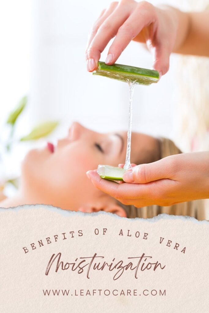 The Amazing Benefits of Aloe Vera