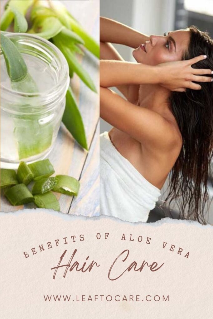 The Amazing Benefits of Aloe Vera