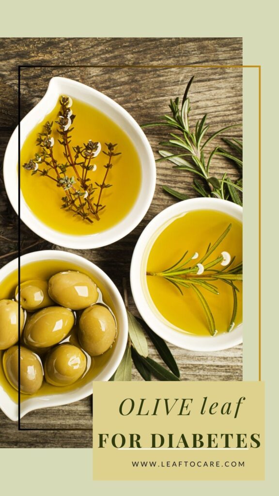 Skin And Health Benefits Of Olive Leaf Extract