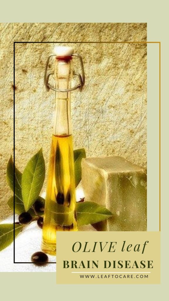 Skin And Health Benefits Of Olive Leaf Extract