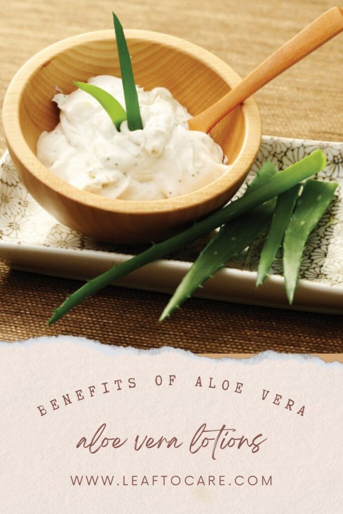 The Amazing Benefits of Aloe Vera