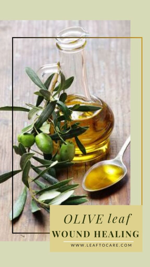 Skin And Health Benefits Of Olive Leaf Extract