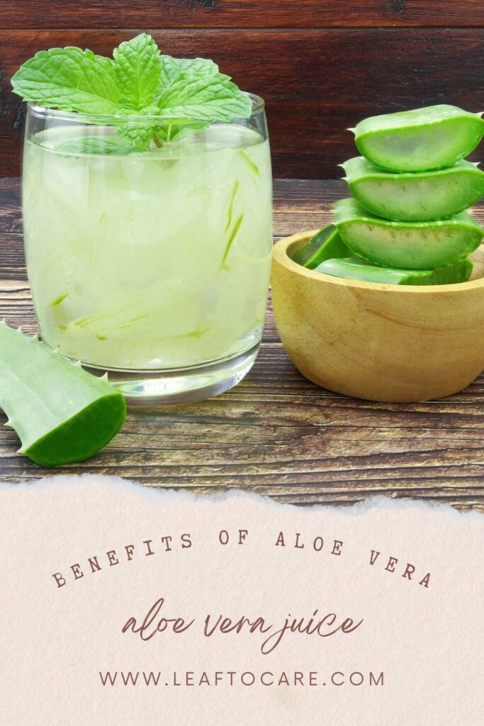 The Amazing Benefits of Aloe Vera