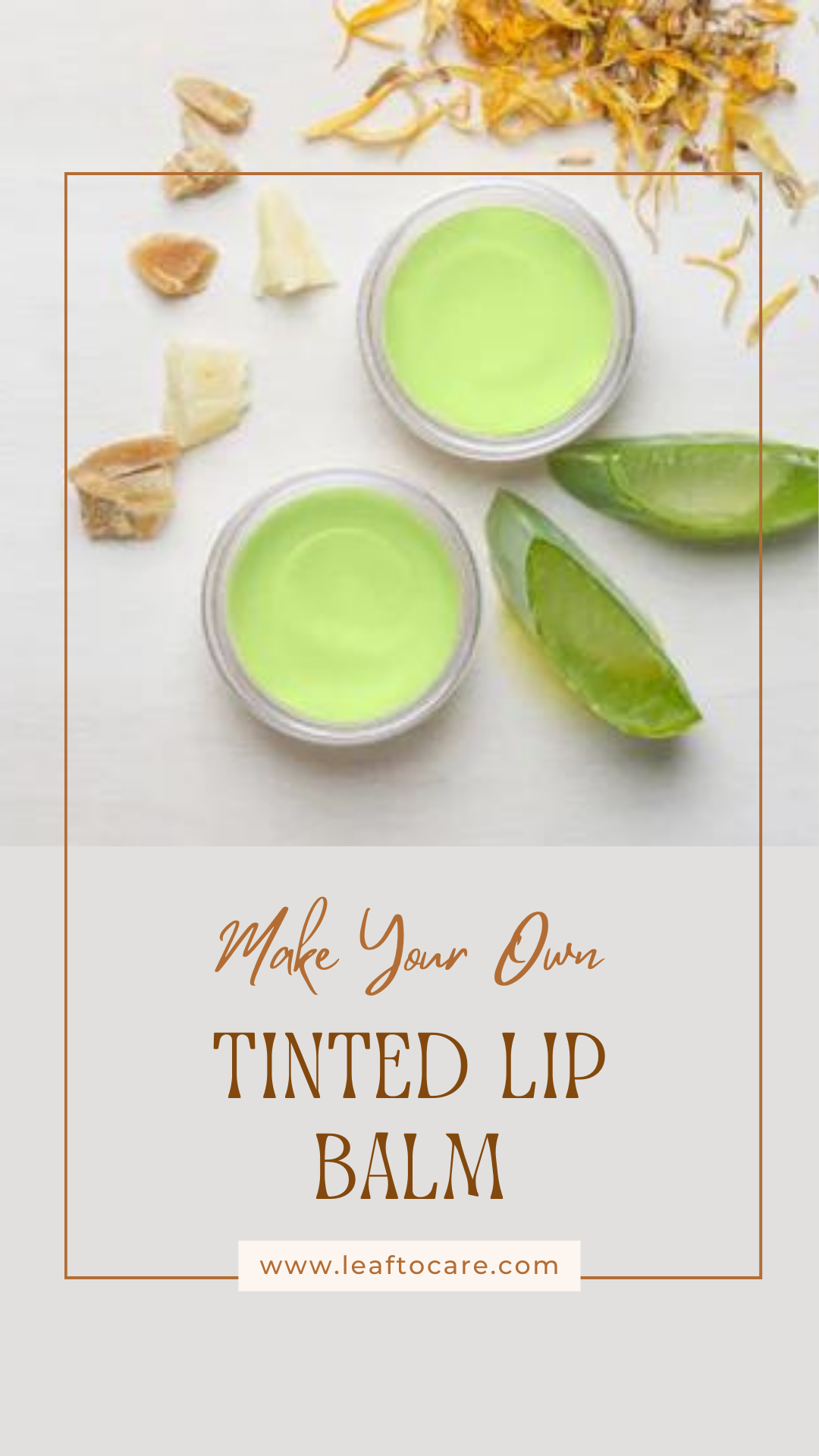 Tinted Lip Balm- leaf to care