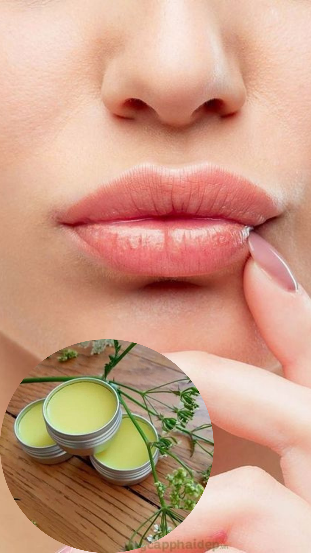 Tinted Lip Balm- leaftocare