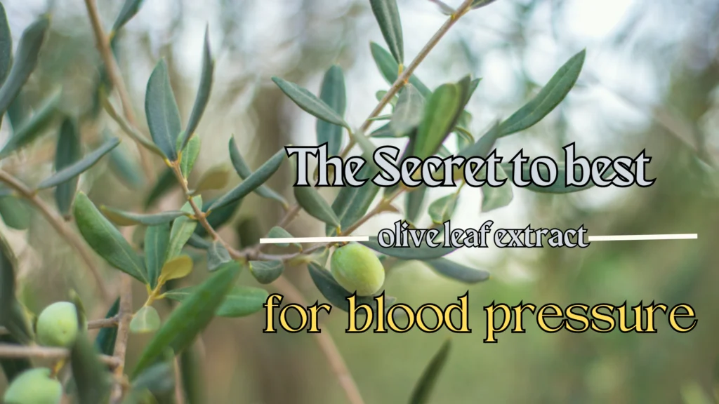 The Secret to best olive leaf extract for blood pressure