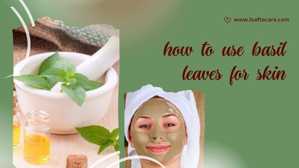 how to use basil leaves for skin